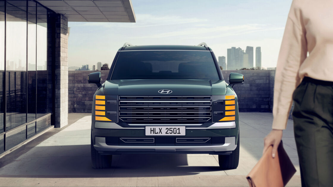 Hyundai Palisade convenience