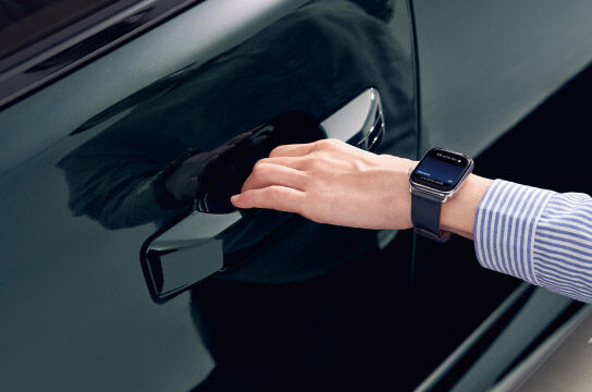 Hyundai Palisade convenience